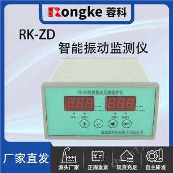 RK-ZD振动检测表