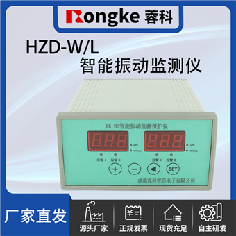 HZD-W/L/RK振动检测表